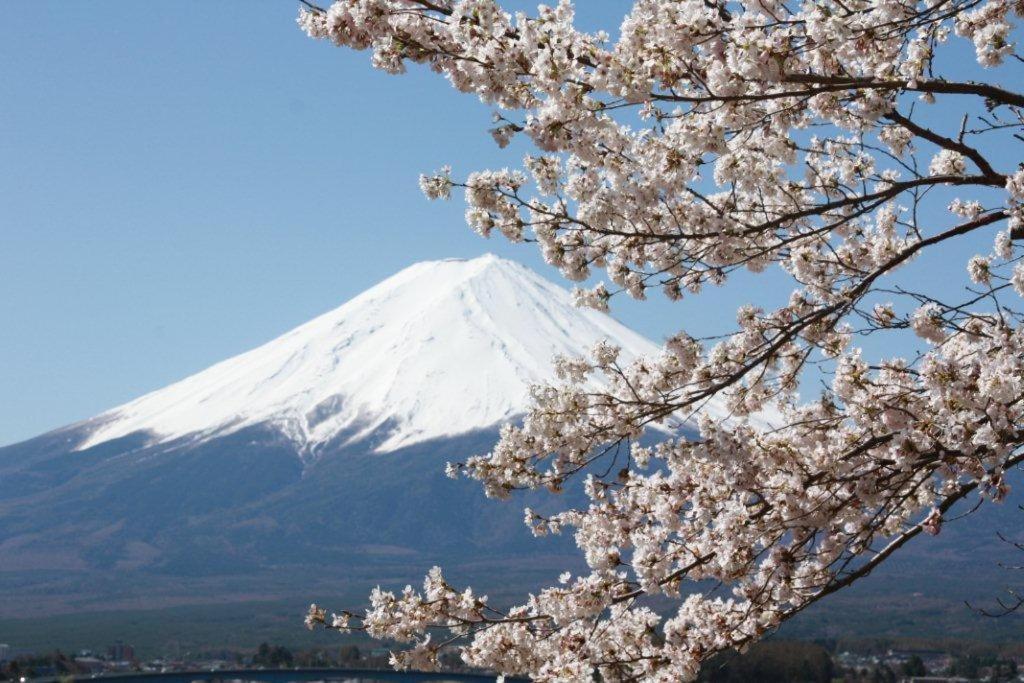 御師の家　梅谷（Umeya） Vila Fujikawaguchiko Exterior foto